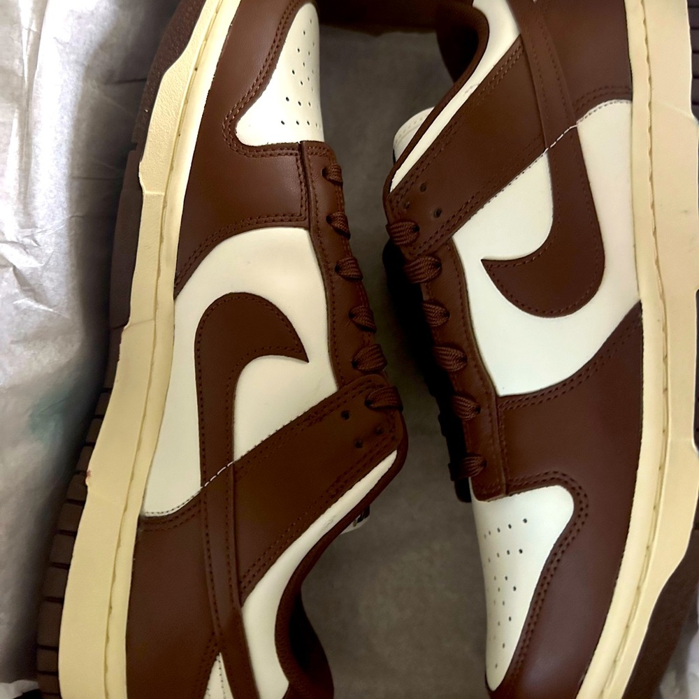 Brown dunk low men’s 10.5